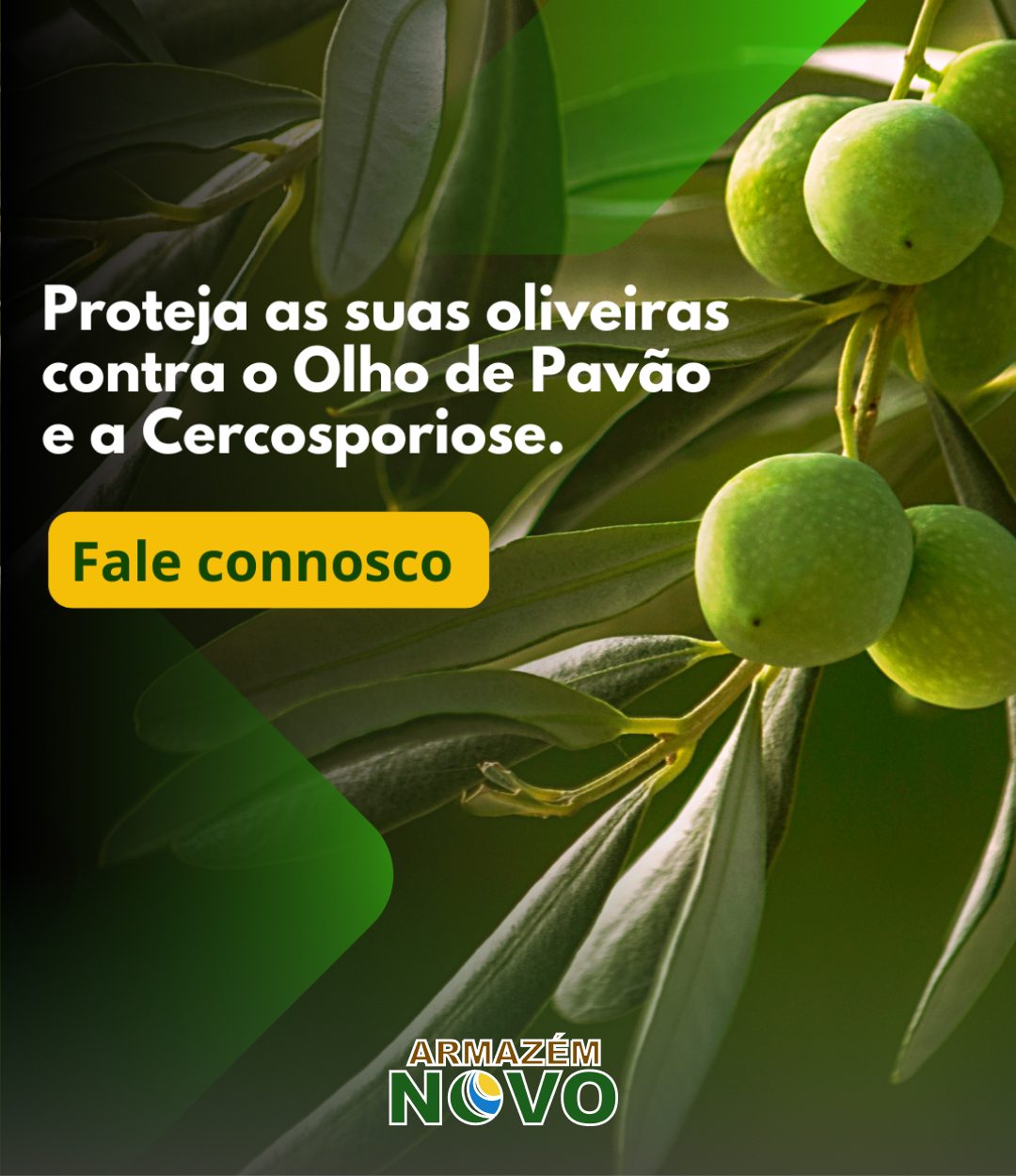 Cultura e respetivos tratamentos